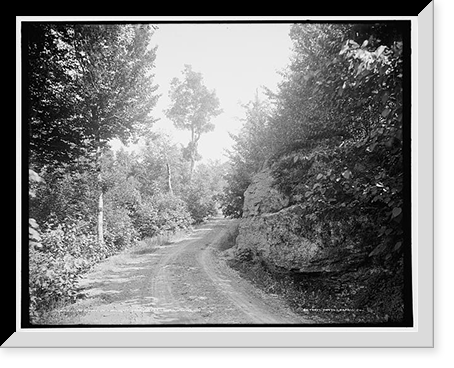 Driveway in Twilight Park, Catskill Mountains, N.Y, Vintage Print