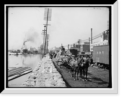 Historic Framed Print, Mule teams on the levee, New Orleans, La.,  17-7/8" x 21-7/8"