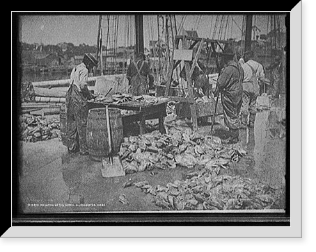 Weighing up the catch, Gloucester, Mass. Classic, Vintage Poster