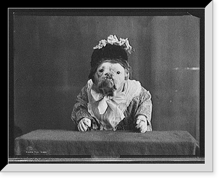 Missis, The, Vintage Print