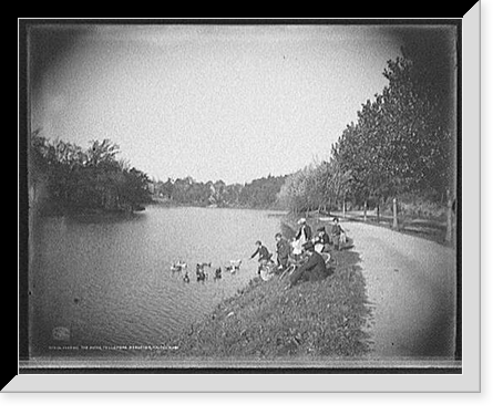 Historic Framed Print, Feeding the ducks, Fellsmere reservoir, Malden, Mass.,  17-7/8" x 21-7/8"