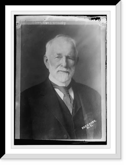 Historic Framed Print, Hon. Benj. T. Tracy, Pach Bros., Photo., N.Y..Pach Bros. Photo.,  17-7/8" x 21-7/8"