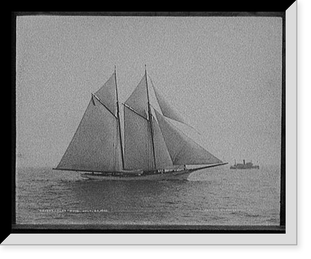 Historic Framed Print, Fleetwing,  17-7/8" x 21-7/8"