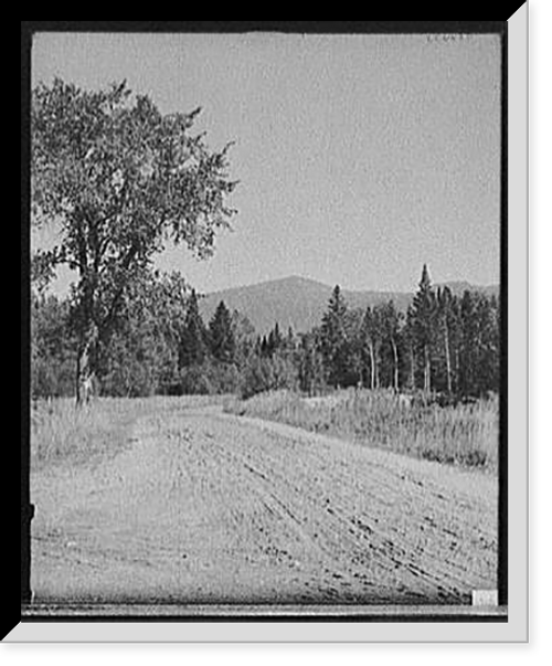 Historic Framed Print, [On the road to the base of Mount Washington, White Mountains, N.H.],  17-7/8" x 21-7/8"