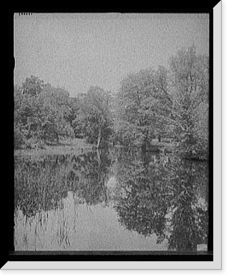 Lily pond, Mount Holyoke College, South Hadley, Mass, Antique Print