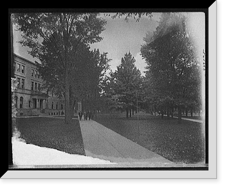 Campus & Law Dept., University of Michigan, Ann Arbor, Mich, Vintage Wall Art