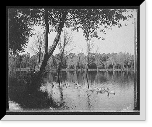 Historic Framed Print, [Lake Como, Como Park, St. Paul, Minn.],  17-7/8" x 21-7/8"