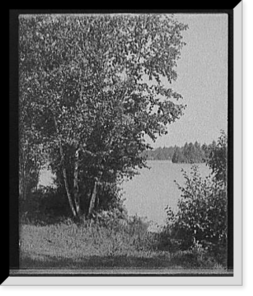Historic Framed Print, [A Glimpse of Raquette Lake, Adirondacks, N.Y.] - 2,  17-7/8" x 21-7/8"