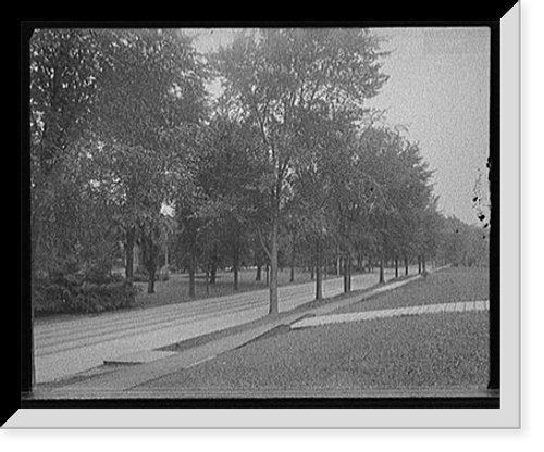 Historic Framed Print, [Walnut Avenue, Syracuse, N.Y.] - 2,  17-7/8" x 21-7/8"