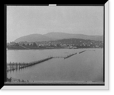 General view, Bar Harbor, Maine - 2, Vintage Poster