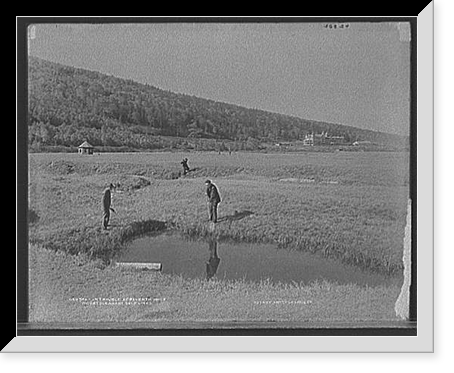 In trouble at seventh hole, Mount Pleasant golf links - 2, Vintage Wall Art