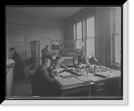 Historic Framed Print, [Cashier cage, probably Richmond & Backus Co., Detroit, Mich.],  17-7/8" x 21-7/8"