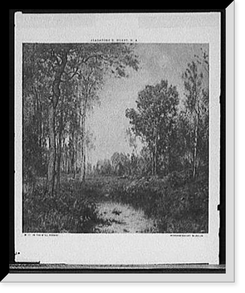 Historic Framed Print, In the still forest,  17-7/8" x 21-7/8" Historic Framed Print, In the still forest,  17-7/8" x 21-7/8"