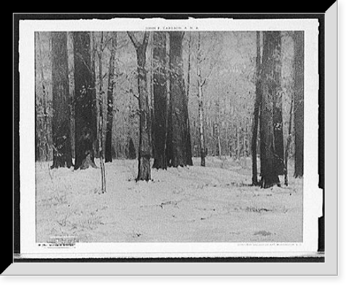 Historic Framed Print, Woods in winter,  17-7/8" x 21-7/8"