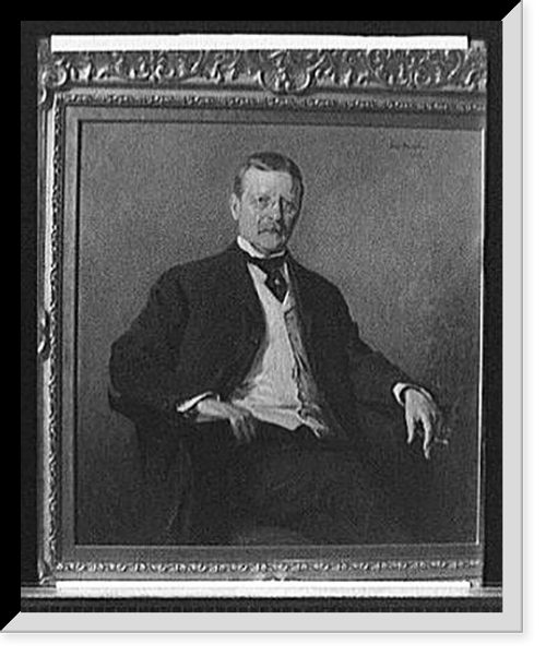 Historic Framed Print, [Theodore Roosevelt, three-quarter length portrait],  17-7/8" x 21-7/8"