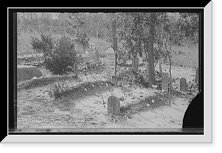 Scene in Magnolia (colored) cemetery, Aiken, S.C, Antique Print
