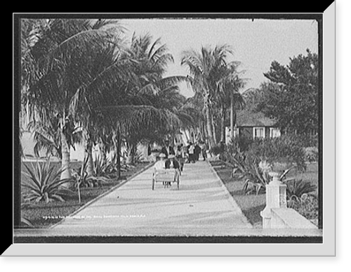 Historic Framed Print, The Grounds of the [Hotel] Royal Poinciana, Palm Beach, Fla.,  17-7/8" x 21-7/8"