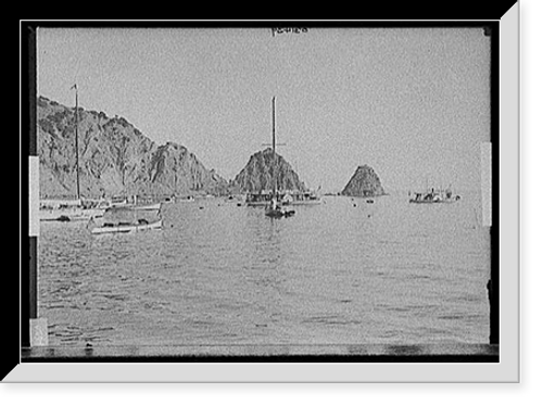 Historic Framed Print, [Boats in harbor, Avalon, Catalina Island, Calif.],  17-7/8" x 21-7/8"