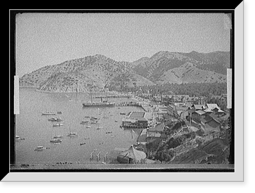 Historic Framed Print, [Harbor, Avalon, Catalina Island, Calif.],  17-7/8" x 21-7/8"