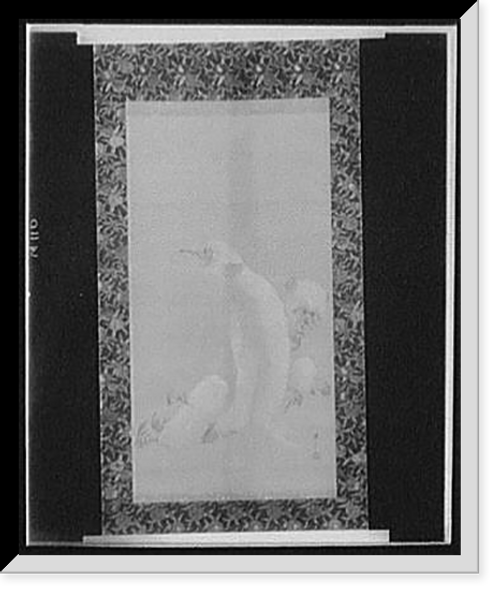 Historic Framed Print, [White monkeys],  17-7/8" x 21-7/8"