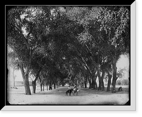 Historic Framed Print, The Calle de Guadeloupe [i.e. Guadaloupe], Chihuahua,  17-7/8" x 21-7/8"