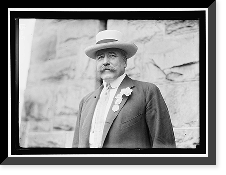 DEMOCRATIC NATIONAL CONVENTION. PARKER, ALTON B., JUDGE, OF NEW YORK. PRESIDENT, AMERICAN BAR ASSOCIATION - 2, Antique Wall Art