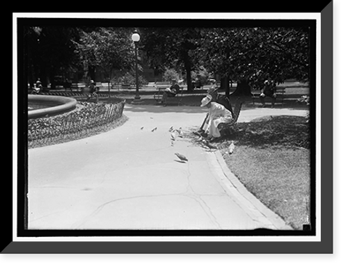 Historic Framed Print, DISTRICT OF COLUMBIA PARKS. FEEDING PIGEONS IN THE PARKS,  17-7/8" x 21-7/8"