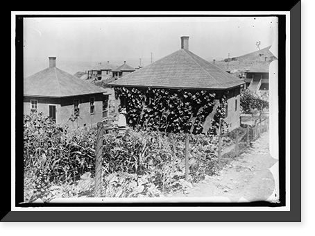 Historic Framed Print, NATIONAL EMERGENCY WAR GARDENS COM. WAR GARDENS - 4,  17-7/8" x 21-7/8"