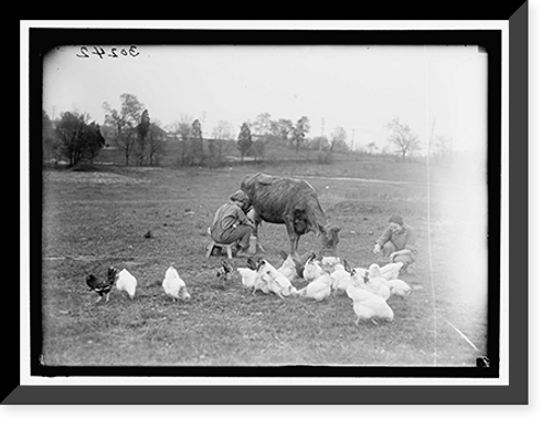 Historic Framed Print, NATIONAL EMERGENCY WAR GARDENS COM. FARMERETTES - 7,  17-7/8" x 21-7/8"