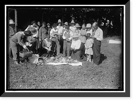 NATIONAL EMERGENCY WAR GARDENS COM. GIRL SCOUTS AND OTHERS - 10, Vintage Print