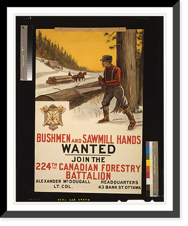 Bushmen and sawmill hands wanted. Join the 224th Canadian Forestry Battalion Classic, Historic Reproduction