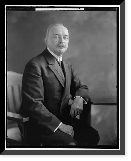 NERINEX, ALFRED. SENATOR, Vintage Poster