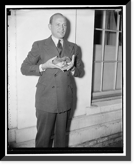 Antique Portrait - Washington DC - Tropical porcupines presented