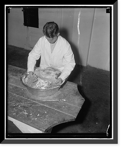 Historic Framed Print, Hams. Mr. Carroll then rubs the cured ham in a mixture of salt, brown sugar, and saltpeter before it is smoked,  17-7/8" x 21-7/8"