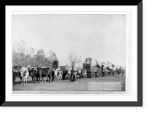 Historic Framed Print, Freighting in the Black Hills,  17-7/8" x 21-7/8"