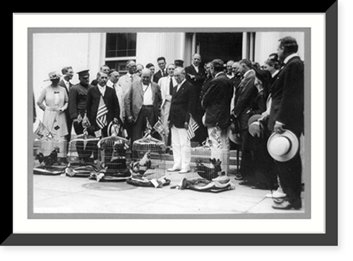 Historic Framed Print, Woodrow Wilson with roosters at the White House,  17-7/8" x 21-7/8"