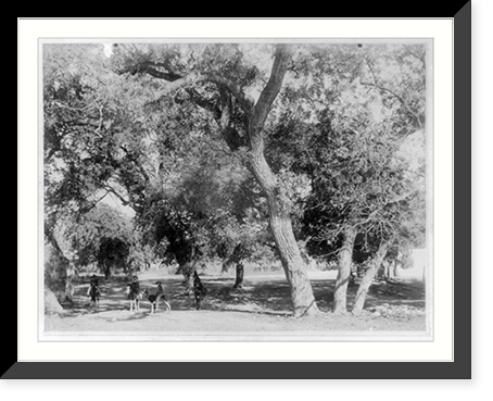 Fort Clark, Tex., ca. 188-: 3 Mexicans on horses & burro - officer standing, Antique Wall Art