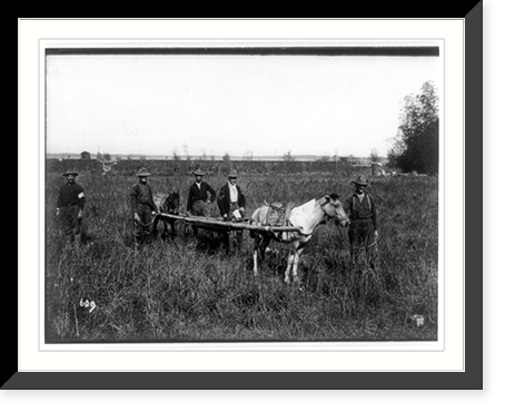 Philippine insurrection: Red Cross and hospital corps in field Classic, Historic Reproduction