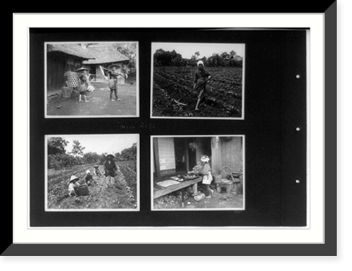 Historic Framed Print, [Farm life in Japan],  17-7/8" x 21-7/8"