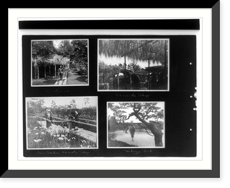 Wistaria sic; iris garden, Kamata, Tokyo; Kameido, Tokyo; Hibiya Park, Antique Poster