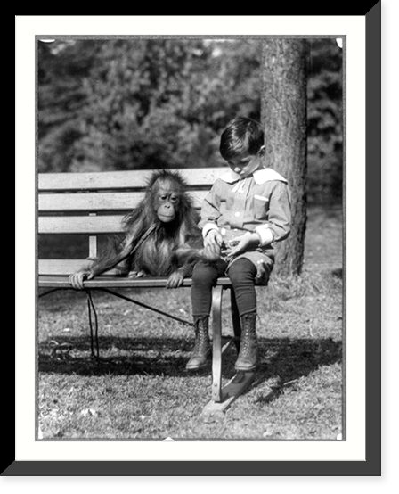 Boy seated with orangutan on bench at the National Zoo, Washington, D.C, Historic Reproduction