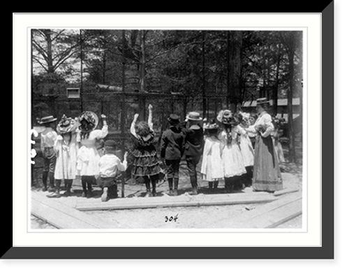 Historic Framed Print, [Group of public school children offering peanuts to animals in the National Zoo(?), Washington, D.C.],  17-7/8" x 21-7/8"