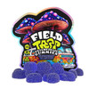 Field Trip Psychedelic Mushroom Gummies BLUEBERRY BLASTOFF