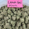 Bulk Value Indoor THCA Flower Lemon Gas Mask
