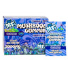 Lil MFs Mushroom Gummies 5000MG Blue Raspberry