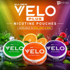 Velo Plus Nicotine Pouches flavors Features