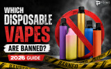 Is Geek Bar Banned? A 2026 Guide for Retailers