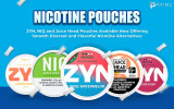 The Ultimate 2025 Guide to Nicotine Pouches: Top Brands, Market Trends & Wholesale Growth