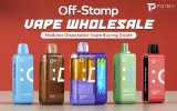 Off Stamp Vape Wholesale: Modular Disposable Vape Buying Guide