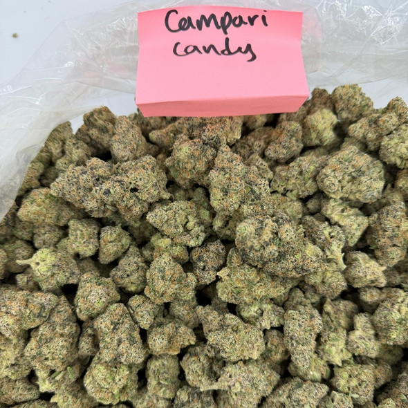 Bulk Indoor THCA Flower Campari Candy